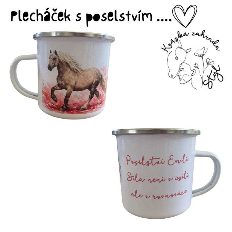 Plecháček s poselstvím Emili